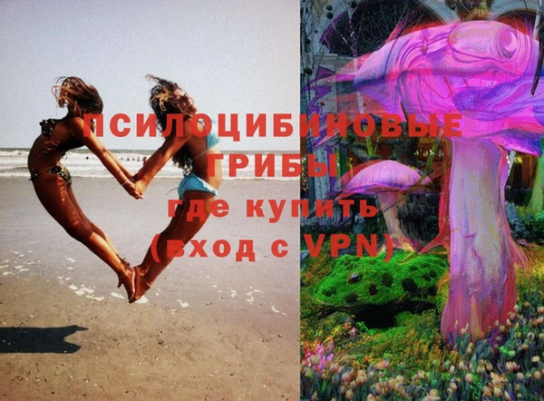 марки lsd Алзамай