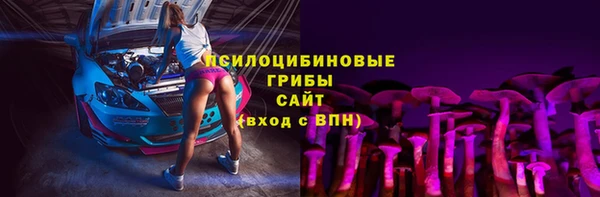 стаф Абаза