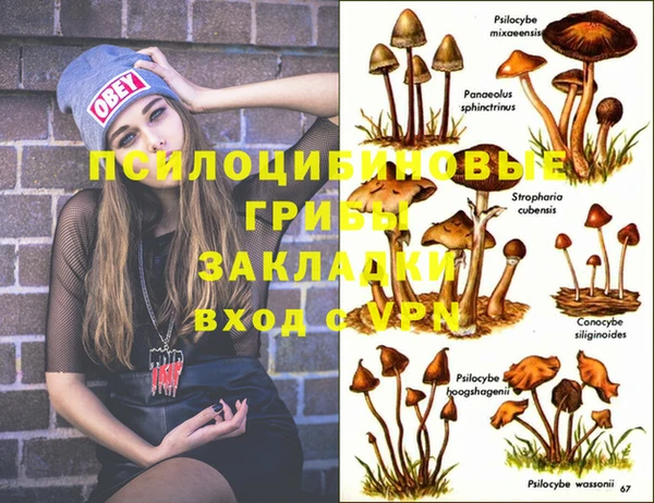 марки lsd Алзамай