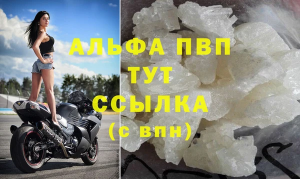 стаф Абаза